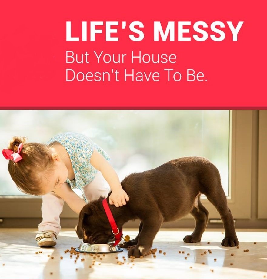 services-pet-grooming-care